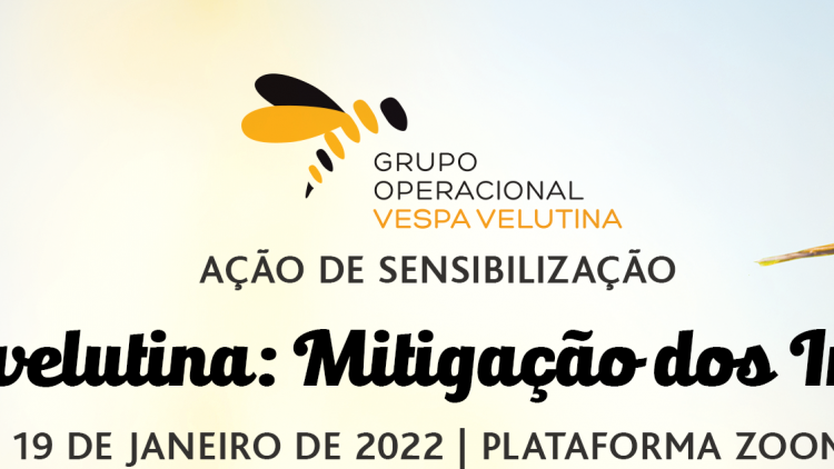 Associação NATIVA presente na "Ação de Sensibilização - Vespa velutina: Mitigação dos impactos"